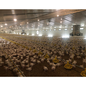 ระบบทำความเย็น Skov รุ่น Da 65-600 สีขาว ทำจากพลาสติก สำหรับฟาร์มสัตว์ปีก - Product Image 4