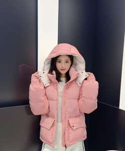 Chaquetas de Plumón de Invierno de Lujo para Mujer, Chaquetas Gruesas con Cierre, Abrigos Acolchados de Moda para Mujer y Hombre, Venta al Por Mayor - Product Image 2