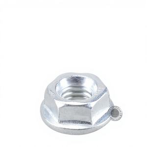 168170F188 Piezas de Motor de Gasolina, Silenciador y Filtro de Aire, Tuerca de Brida M6/M8 con Arandela, Tornillos Antideslizantes, Categoría de Producto - Product Image 2
