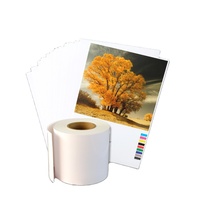 Film Media berbasis air putih Glossy PET film glossy