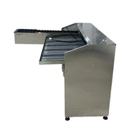 Nueva Clasificadora de Huevos Eléctrica de Acero Inoxidable, Equipo Automático para Clasificar Huevos de Gallina, Modelo 5400, 110V/220V, 1 Año de Garantía