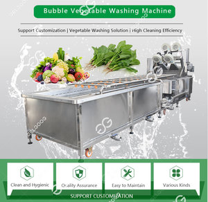 Industrial <b>Vegetable</b> <b>Processing</b> Plant <b>Fruit</b> and <b>Vegetable</b> Washing and Drying <b>Machine</b> for Sale in Vietnam - Product Image 2
