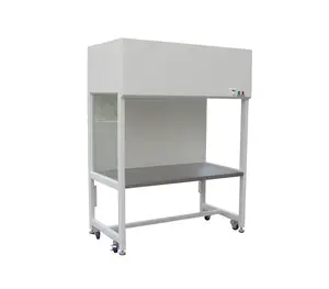 Customized Class 100 Single double fan Person Clean Bench with Vertical Horizontal Air Laminar Flow Hood Cabinet