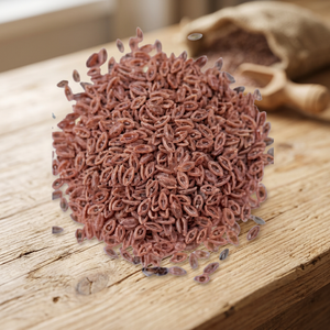 Semillas de Psyllium Naturales, Plantago Ovata, Isabgol Beej, Hierba Seca, Materia Prima Botánica, Ingrediente de Semilla Comestible - Product Image 4