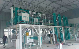 Ligne de production complète de farine de blé et de maïs 20TPD, petite usine de mouture de farine de maïs pour démarrage d'entreprise - Product Image 2