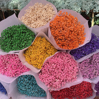 Fleurs de Gypsophile Séchées Naturelles de Haute Qualité, Fleurs Éternelles Préservées pour la Décoration de Mariage