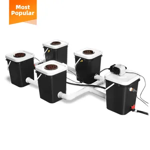 Top Supplier Customize Hydroponic Indoor Garden Complete Hydroponic Growing System For Greenhouse Wholesale From China