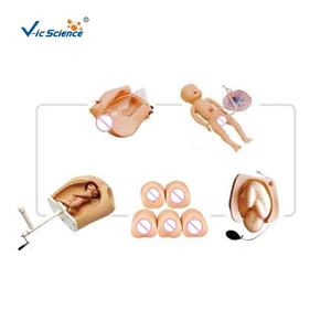 Modèle avancé et complet de palpation abdominale et de rotation de machine d'accouchement pour la science médicale - Product Image 2