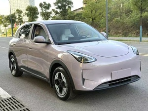Geely <span class=keywords><strong>Wish</strong></span> 2025, Sedán Eléctrico Inteligente, Vehículo de Nueva Energía, Motor de 50-100KW, Batería de 30kWh, Autonomía de 301-400km - Product Image 2