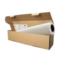 Film PET DTF en rouleau pour imprimante de transfert thermique, impression simple ou double face, pelage à chaud ou à froid, 75 microns, 30, 33, 60 cm, 60 cm x 100 m