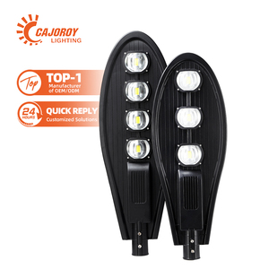 Lampes de jardin électriques au sol LED modernes certifiées CE en gros, lampes de rue extérieures 100W - Product Image 1