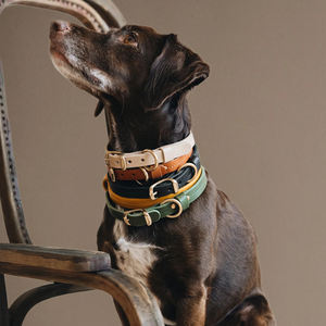 Collier de chien en cuir de qualité supérieure anti-évasion robuste avec anneau en D en métal en vrac en gros pour chiens de grande race - Product Image 4