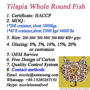 Black Tilapia Nile Frozen Whole Black Tilapia Fish