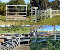 Panneaux de clôture portables amovibles en fer galvanisé pour chevaux, portails de corral pour bétail, robustes, écologiques, légers et durables