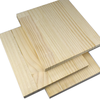 Tablero de madera Pawlonia de estilo moderno de 2440x1220mm de hermosa calidad para deportes acuáticos del Reino Unido para Decoración