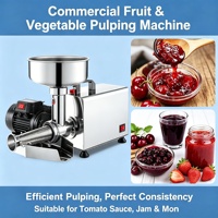 Top gewaardeerde automatische mini elektrische fruitpers met motor van roestvrij staal voor het maken van tomatenpuree voor ontbijt & bakken