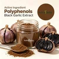 Extrait d'ail noir 3% polyphénols, poudre d'extrait de bulbe d'ail noir