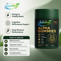 Gummies Multivitaminées Naturelles 10-en-1 à Marque Blanche avec Shilajit et Maca pour le Bien-être Végétalien, Complément Herbal Énergie et Immunité