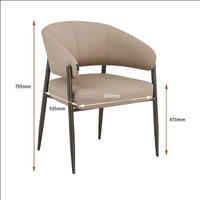 Fauteuils Modernes avec Pieds en Métal Nouveau Café Restaurant Salle à Manger Chaises pour Supermarché École Salon Hôtel