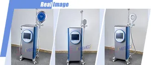 Vertical 2 Handles Sport Injuries Rehabilitation Pain Relief Emtt Extracorporeal Magneto Pmst Magnetic Therapy Machine