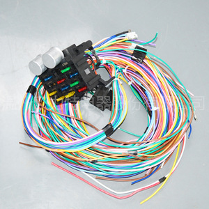 Caja de Fusibles Orite de 12 Vías, Arnés de Cableado Automotriz, Aislamiento de PVC de 12V, IP20, Personalizable - Product Image 1