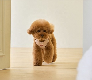 Grosir tali dada beruang kecil jenis rompi yang dapat diatur tali anjing kucing harness hewan peliharaan kecil dan tali - Product Image 4