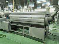Fruit Groenten Schoonmaken Sorteren Peeling Snijden Zoete Aardappel/Gember/Kurkuma/Wortel Wasmachine