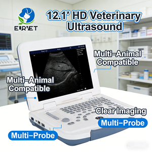Escáner de Ultrasonido Portátil para Veterinaria EUR VET, para <span class=keywords><strong>Pruebas</strong></span> de Embarazo <span class=keywords><strong>y</strong></span> Diagnóstico de Salud - Product Image 1