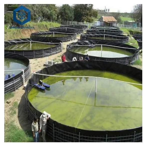 0.5mm Geomembrane HDPE 제조자 인도네시아에 있는 양식화를 위한 0.75mm HDPE 강선 Preformed 연못 강선