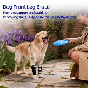 Soporte Ajustable y Transpirable <span class=keywords><strong>de</strong></span> Neopreno para <span class=keywords><strong>Rodilla</strong></span>/Codo <span class=keywords><strong>de</strong></span> Mascotas con Cierre <span class=keywords><strong>de</strong></span> Gancho y Bucle, Ligero, para Alivio del <span class=keywords><strong>Dolor</strong></span> Articular en Perros y Gatos, Bajo MOQ <span class=keywords><strong>de</strong></span> Fábrica - Product Image 5