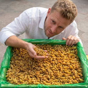 Raisins secs naturels en gros, fruits secs sans pépins, séchés au soleil, raisins sucrés en vrac pour les importateurs de l'industrie agroalimentaire - Product Image 3