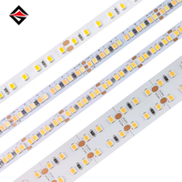 Bande lumineuse LED de plafond profilée en forme de serpent OEM 12V 24V blanc chaud 1500K 2000K 2835