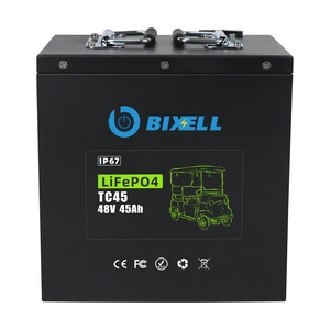 Customized 48V 20Ah 45Ah <strong>Lifepo4</strong> <strong>Battery</strong> 15Ah 20Ah 30Ah 45Ah 60Ah 65Ah 100Ah <strong>Battery</strong> Pack for AGV Electric Forklifts - Product Image 6