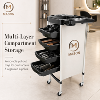 Chariot de Salon Mobile Moderne à 4 Roues, Réglable, en Plastique et Métal, avec Étagères de Rangement Multi-Niveaux, pour Salon de Coiffure, Permanente et Coloration Professionnelle