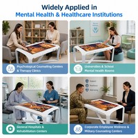 Meja Terapi Sentuh Interaktif dengan Layar LCD 43 Inci, Meja Sandbox Digital untuk Penggunaan Klinik Konseling Kesehatan Mental