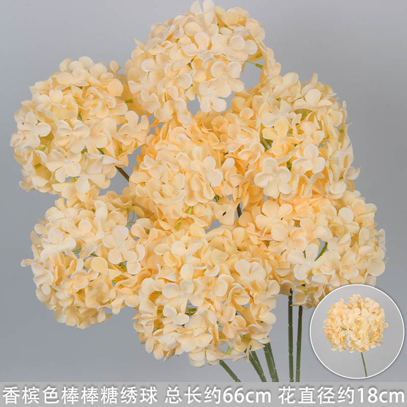 Porte-hortensia sucette couleur champagne