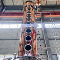 Unité de Distillation en Cuivre Continu CE 2000L pour Vodka Destilador Wodka Plant Pump Gearbox Alcohol Distiller Reflux Column Still
