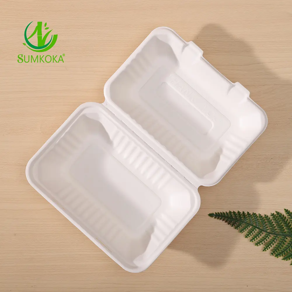 9*6 Polegada Biodegradável Takeaway Food Container 100% Sugarcane Bagasse Food Box Microondas Disponível Restaurante Descartável Almoço B