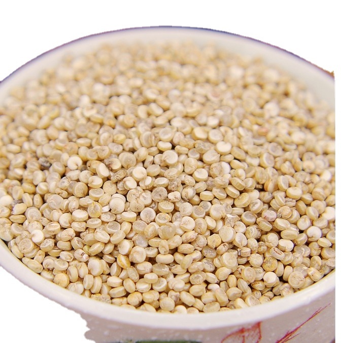 High Quality Organic Tri Color Quinoa