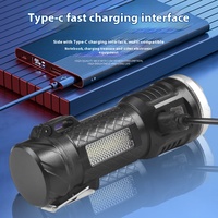 Briquet électrique portatif d'urgence pour l'extérieur Mini lampe de poche multifonctionnelle étanche rechargeable pour le camping