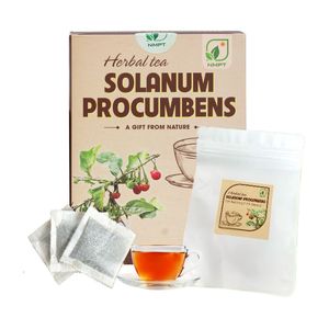 High Quality Premium Solanum Procumbens Herbal <b>Tea</b> Bag Supports Treatment Liver Diseases Health Vietnam NMPT Brand 2G Raw - Product Image 1