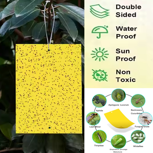 Trampas Adhesivas Amarillas de Tamaños Variados, Ecológicas, Resistentes al Agua, para Uso Agrícola, Envío Rápido, Pedido Mínimo de 50 Piezas para Pruebas de Muestra - Product Image 2