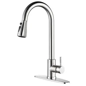 GALENPOO Kitchen Faucet with Pull Down Sprayer Brushed Nickel High Arc Single Handle Kitchen Sink Faucet with Deck Plate