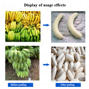 Machine à peler les <span class=keywords><strong>bananes</strong></span> <span class=keywords><strong>Cavendish</strong></span> vertes d'Inde, éplucheur de peau brute, éplucheur de plantains, à vendre - Product Image 3