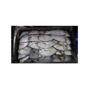Giá cả cạnh tranh đông lạnh <span class=keywords><strong>moonfish</strong></span> hải sản đông lạnh <span class=keywords><strong>moonfish</strong></span> - Product Image 1
