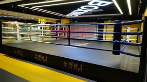 Mini Material <span class=keywords><strong>De</strong></span> Boxe Ring <span class=keywords><strong>De</strong></span> Boxe Prix Flexible Professionnel <span class=keywords><strong>4X4</strong></span> Ocasión Portátil Thai Championnat - Product Image 2