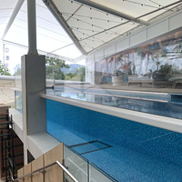 Piscine infini en verre plélii de bonne qualité, pataugeoire en acrylique, très transparent, panneau avec livraison gratuite, nouvelle collection 100%