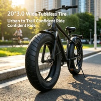 Neumático de Repuesto EW 20*3.0 para Scooter Eléctrico y Bicicleta Eléctrica, Ancho, Antipinchazos, Antideslizante, para Todo Terreno