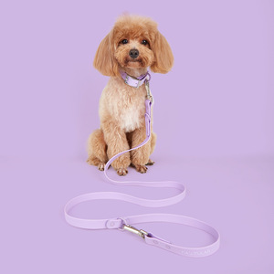 Conjunto de Correa y <span class=keywords><strong>Collar</strong></span> de Perro de PVC Ajustable de Lujo Personalizado, Collares para Mascotas Suaves e Impermeables de Colores con Características Multifuncionales - Product Image 4