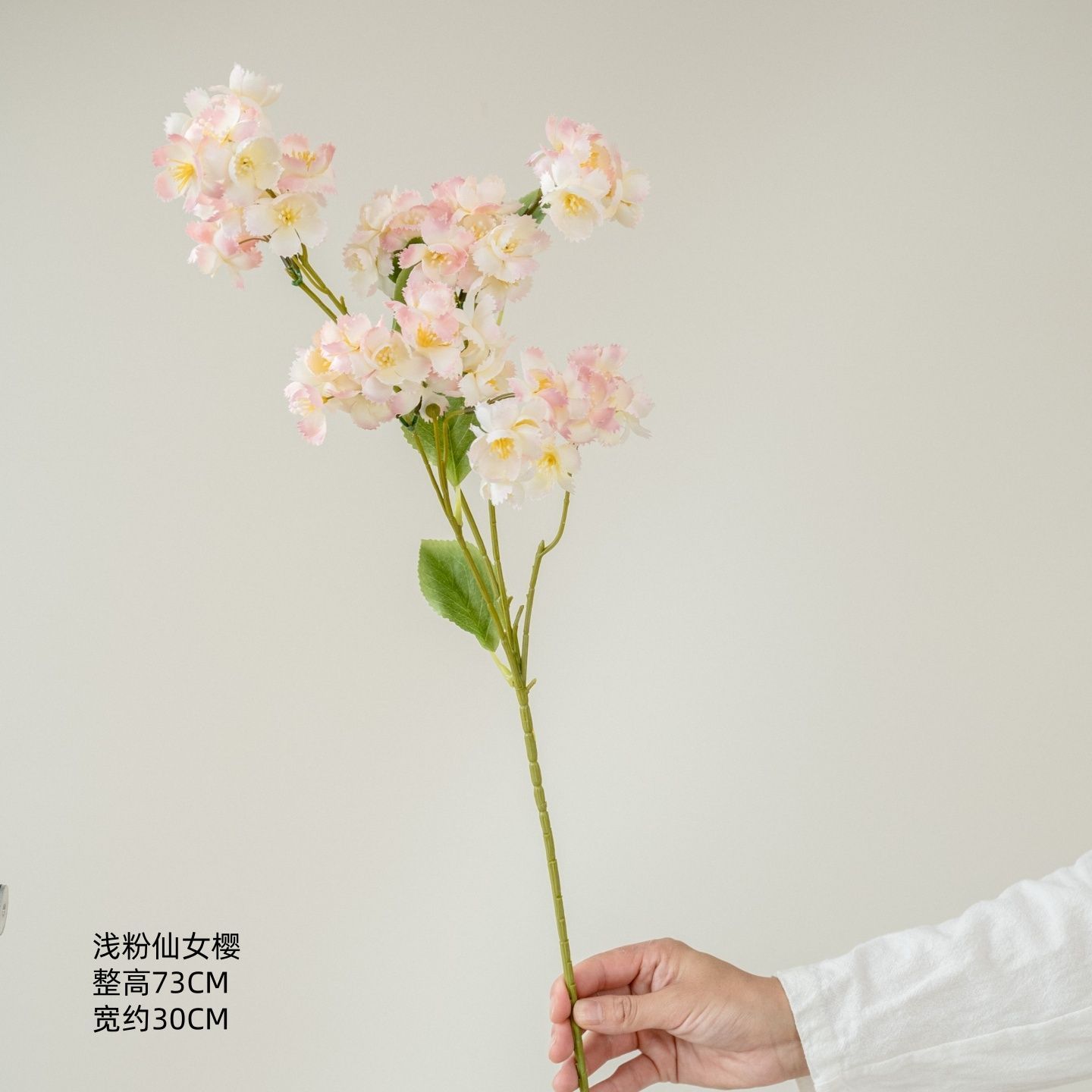 Fleur de cerisier féerique rose clair